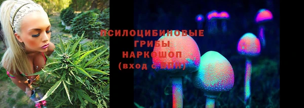 мяу мяу мука Алзамай
