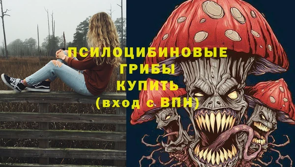 мяу мяу мука Алзамай