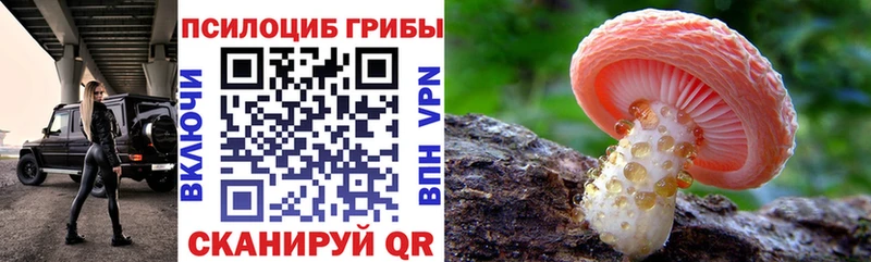 где можно купить наркотик  Дзержинский  Псилоцибиновые грибы прущие грибы 