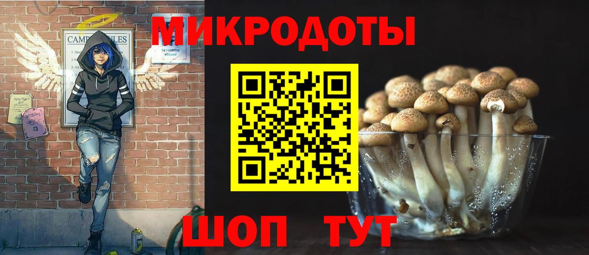 Галлюциногенные грибы GOLDEN TEACHER Дзержинский