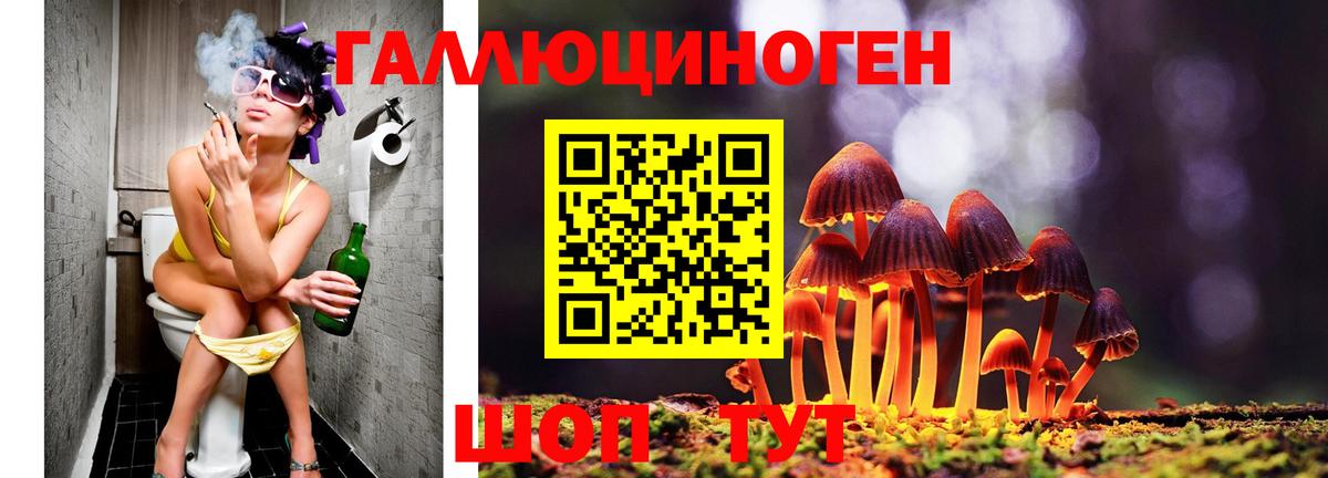 Дзержинский  Галлюциногенные грибы мицелий  Вход с VPN 